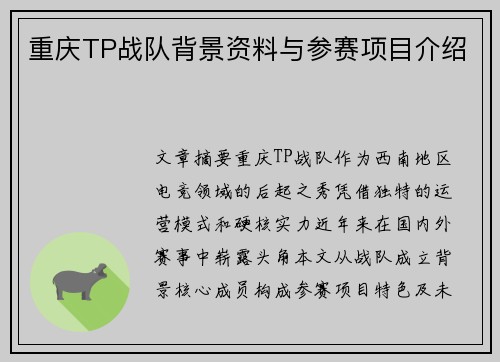 重庆TP战队背景资料与参赛项目介绍